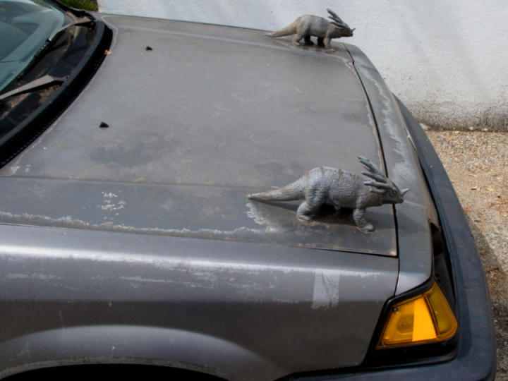 Paleontological hood ornaments