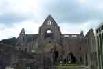 Welcome to Tintern