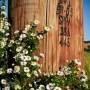 flower_pole.jpg