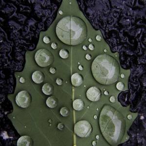 water_droplets.jpg